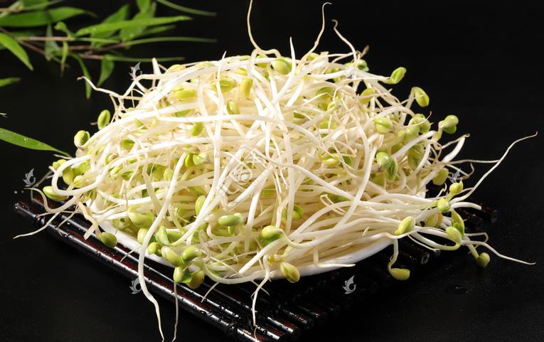 無公害綠色豆芽，怎么生產(chǎn)出來的？全套生產(chǎn)過程如此方便智能