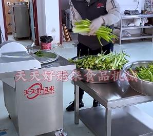 為什么選擇天天好運來斬拌機，它的特點有哪些你不知道的？